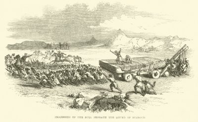 Procession du taureau sous le Mont Nimrud - Josiah Wood Whymper